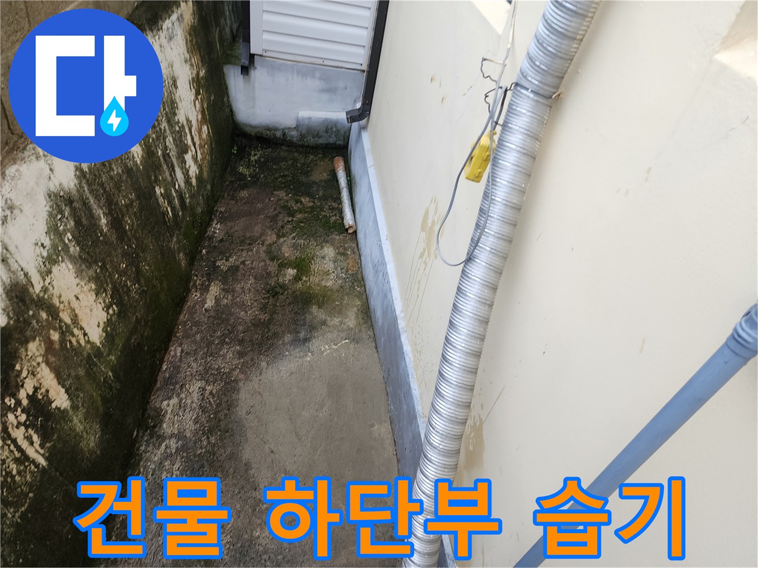 배관 주변의 젖은 지면과 오염된 벽체
