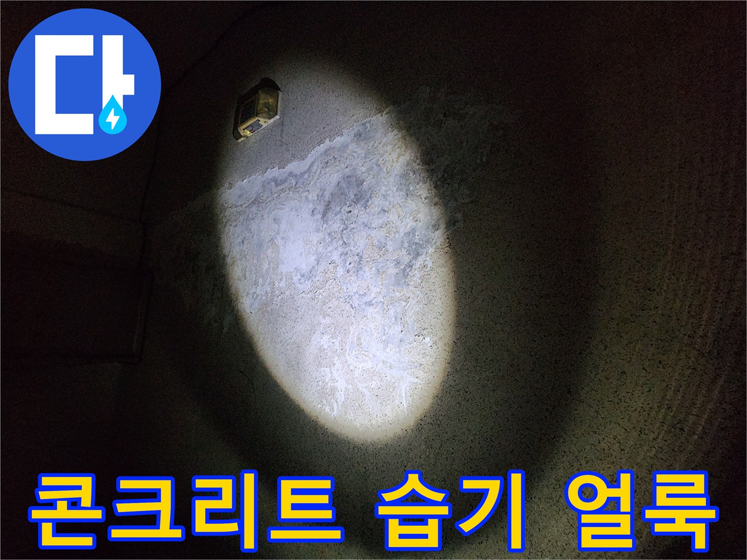 벽면 콘크리트에 넓게 퍼진 물기 흔적과 얼룩