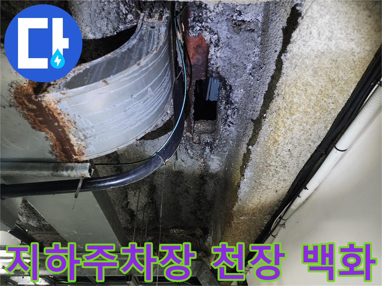 지하 주차장 천장 슬래브-백화 현상이 발생한 모습