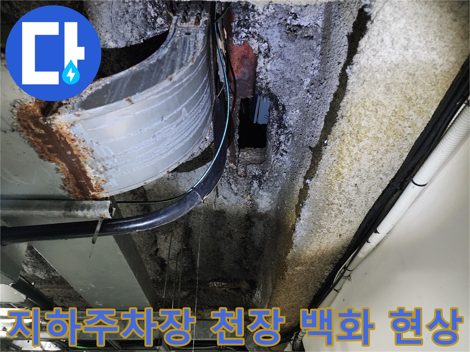 지하-주차장-천장-슬래브-백화현상-및-습기-상태