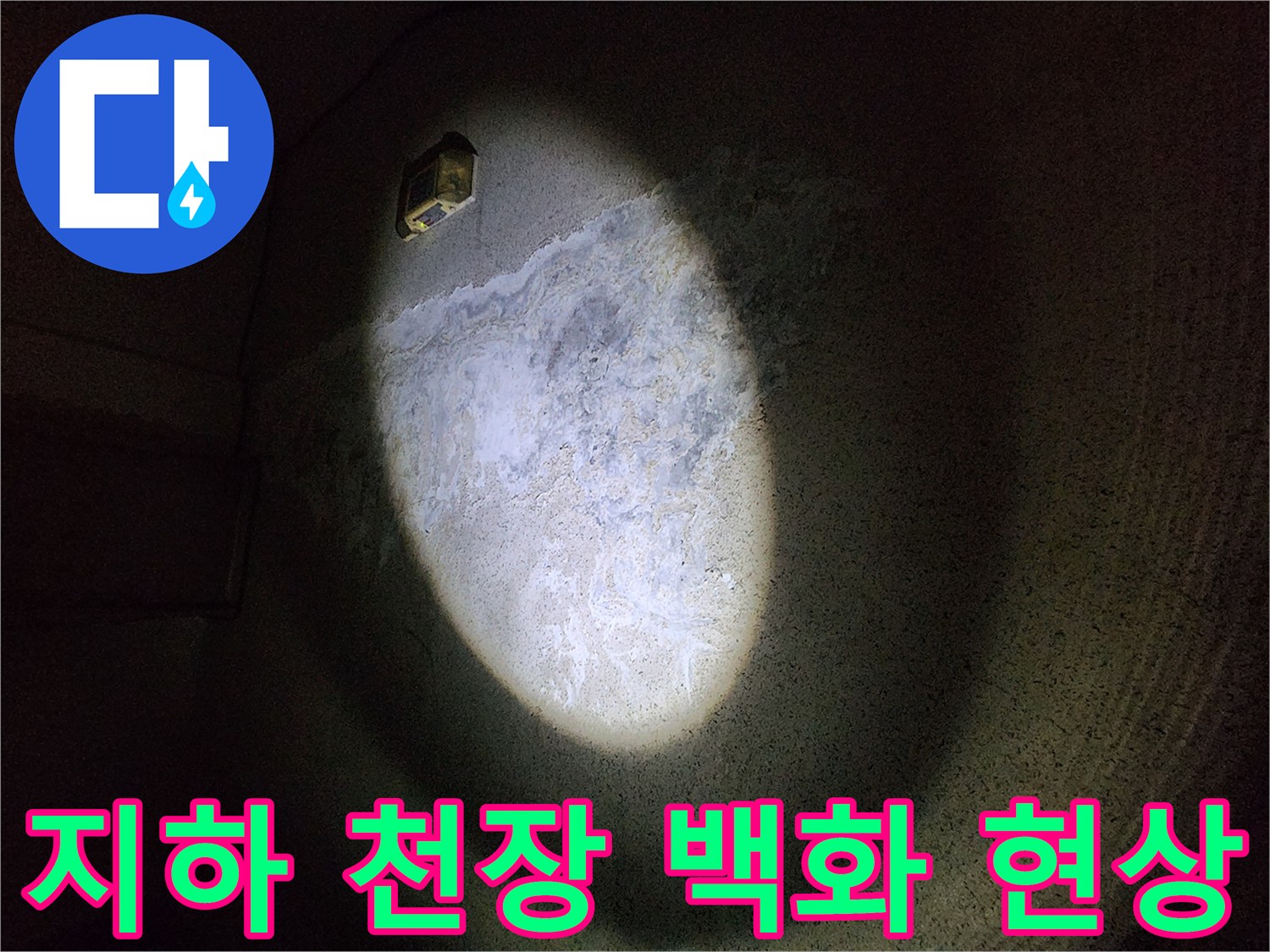 지하 주차장 콘크리트 천장에 발생한 하얀 백화 현상 상태
