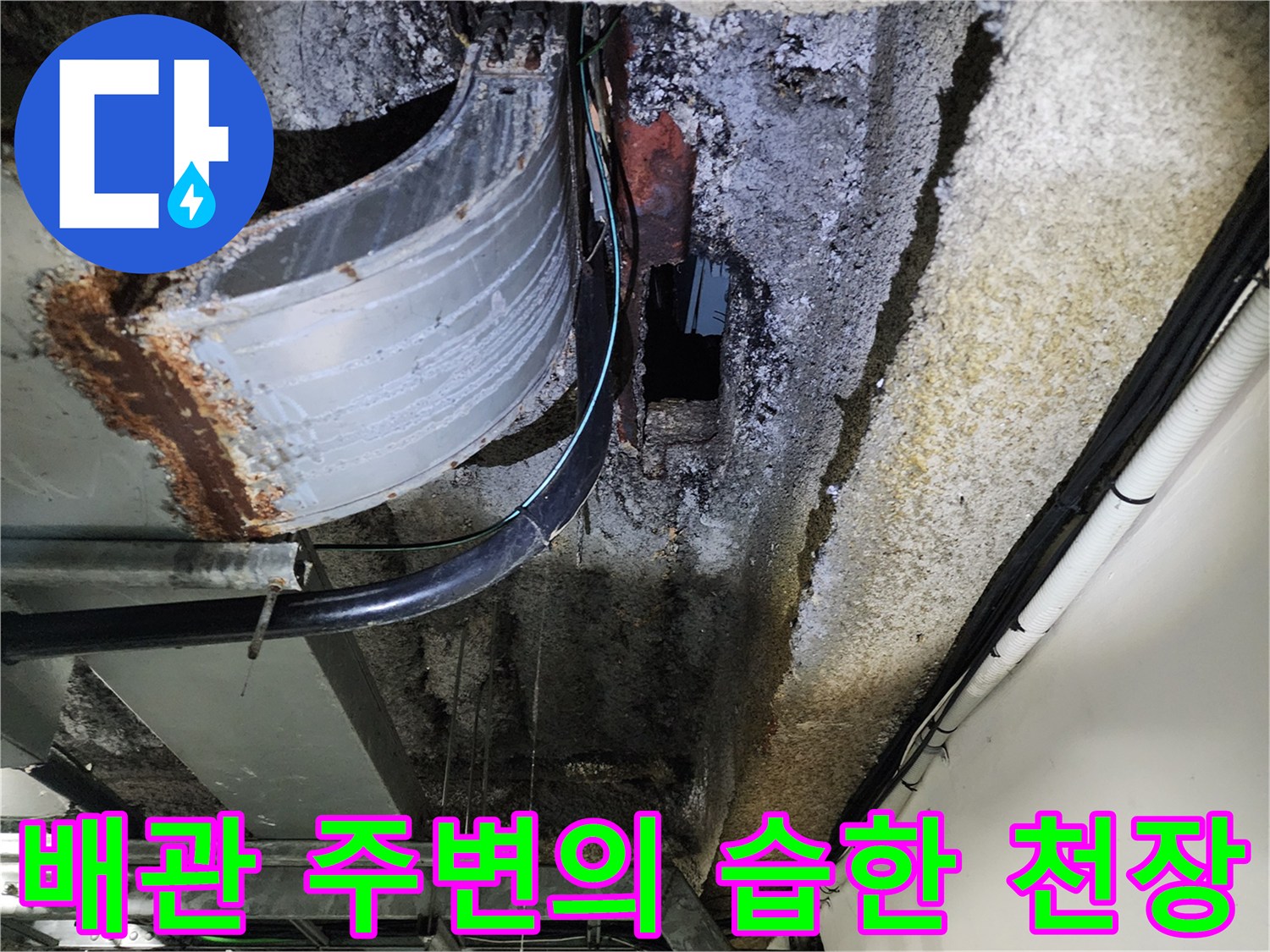 천장-배관-주변-습기-및-오염-상태-촬영
