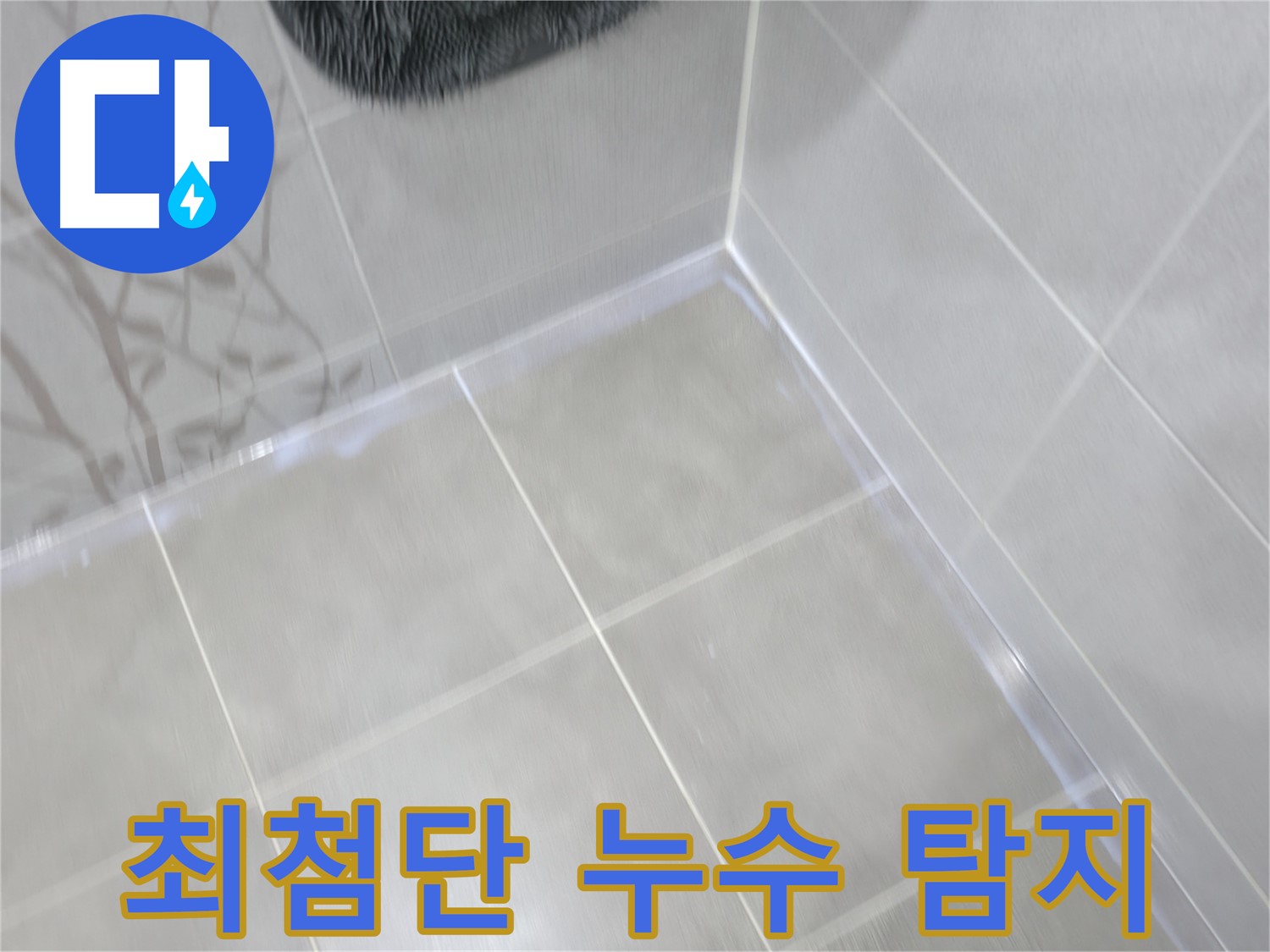 마포구 중동 건영 월드컵 아파트 최첨단 장비 누수 탐지 - 정확하고 신속한 누수 진단