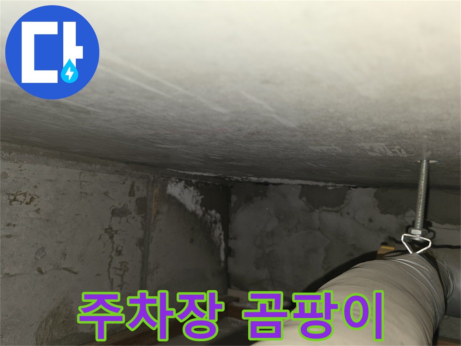 마포구 중동 건영월드컵아파트 누수 - 지하 주차장 곰팡이 발생 상태 확인