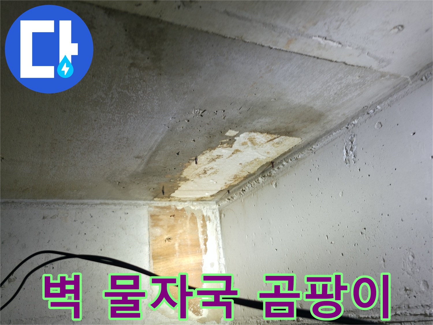 의왕시 능안길 백운그린힐 아파트 누수 - 벽에 생긴 물자국과 곰팡이