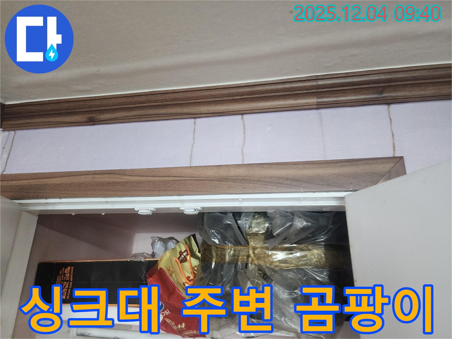 일동면 유동리 - 싱크대 주변 벽에 곰팡이가 핀 모습 - 윗집 누수를 의심해 볼 수 있습니다.