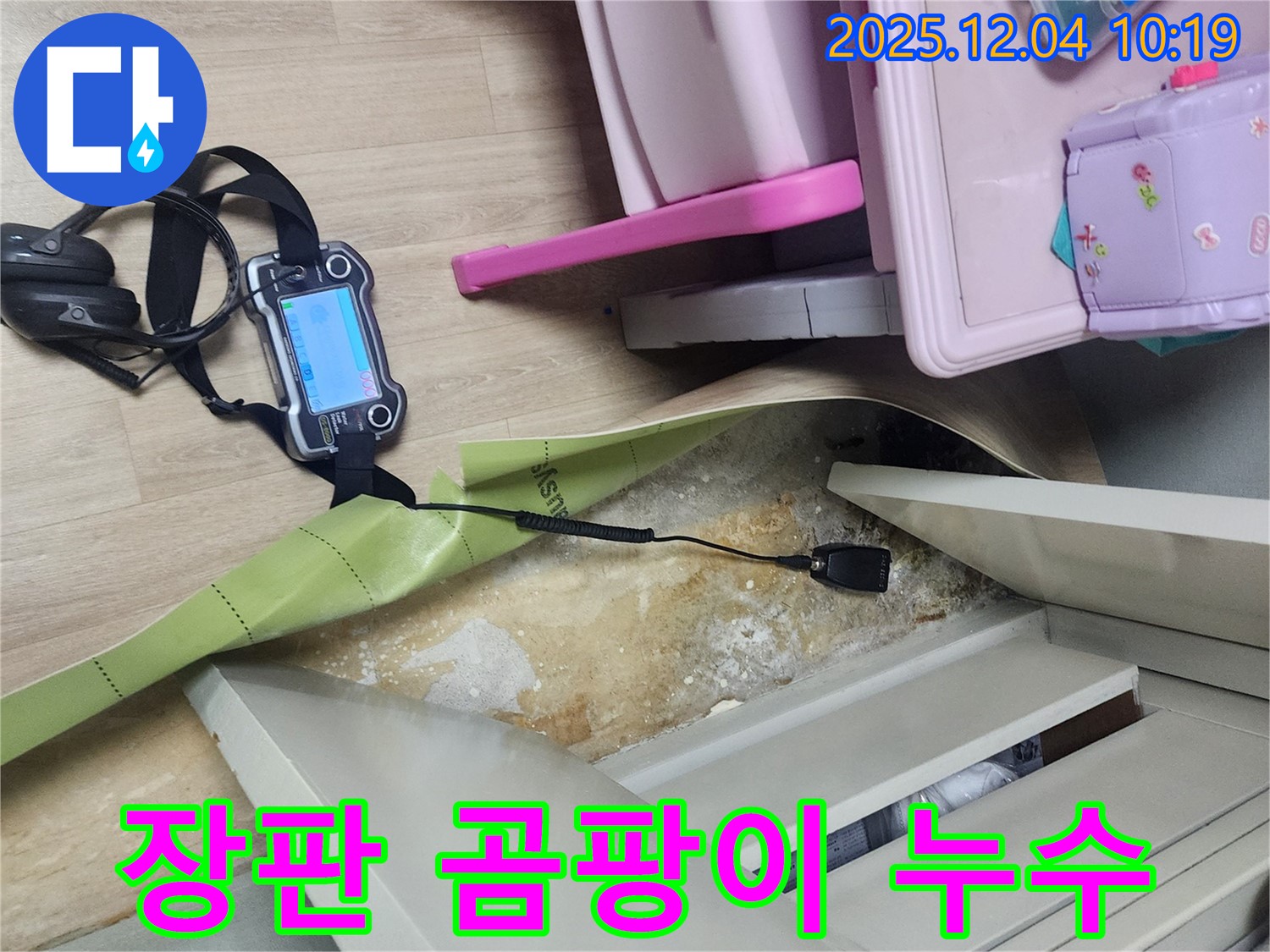 포천시 일동면 유동리 누수탐지 - 장판 주변 곰팡이, 누수 때문인지 확인 중