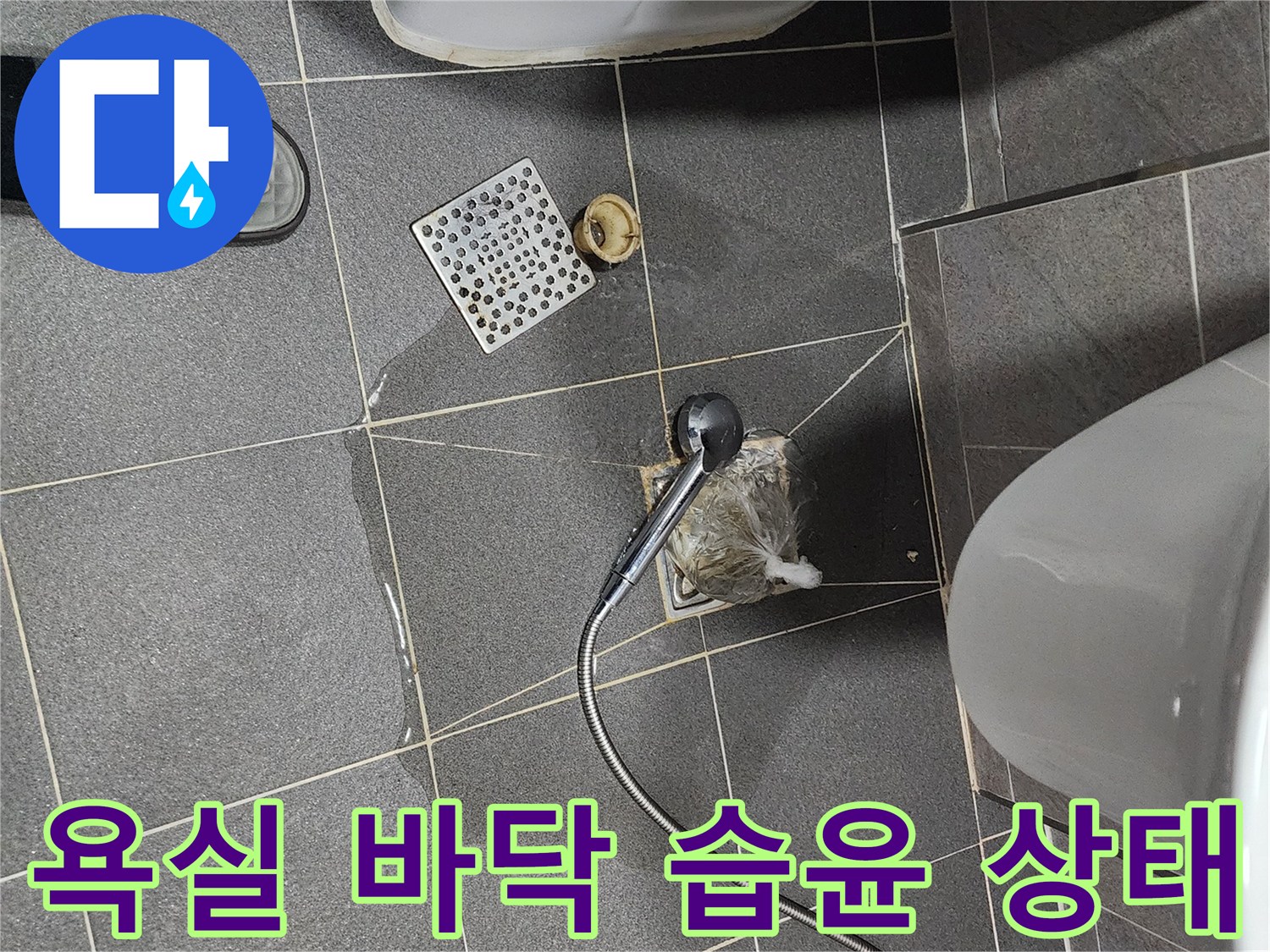 화장실 타일 사이로 스며든 물기 현상 관찰