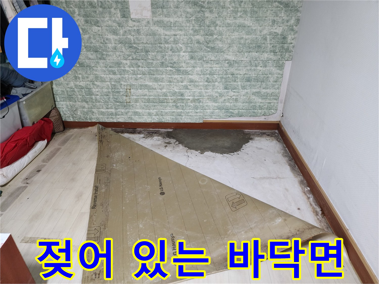 일동면 현장-물기가 스며든 바닥 콘크리트 표면