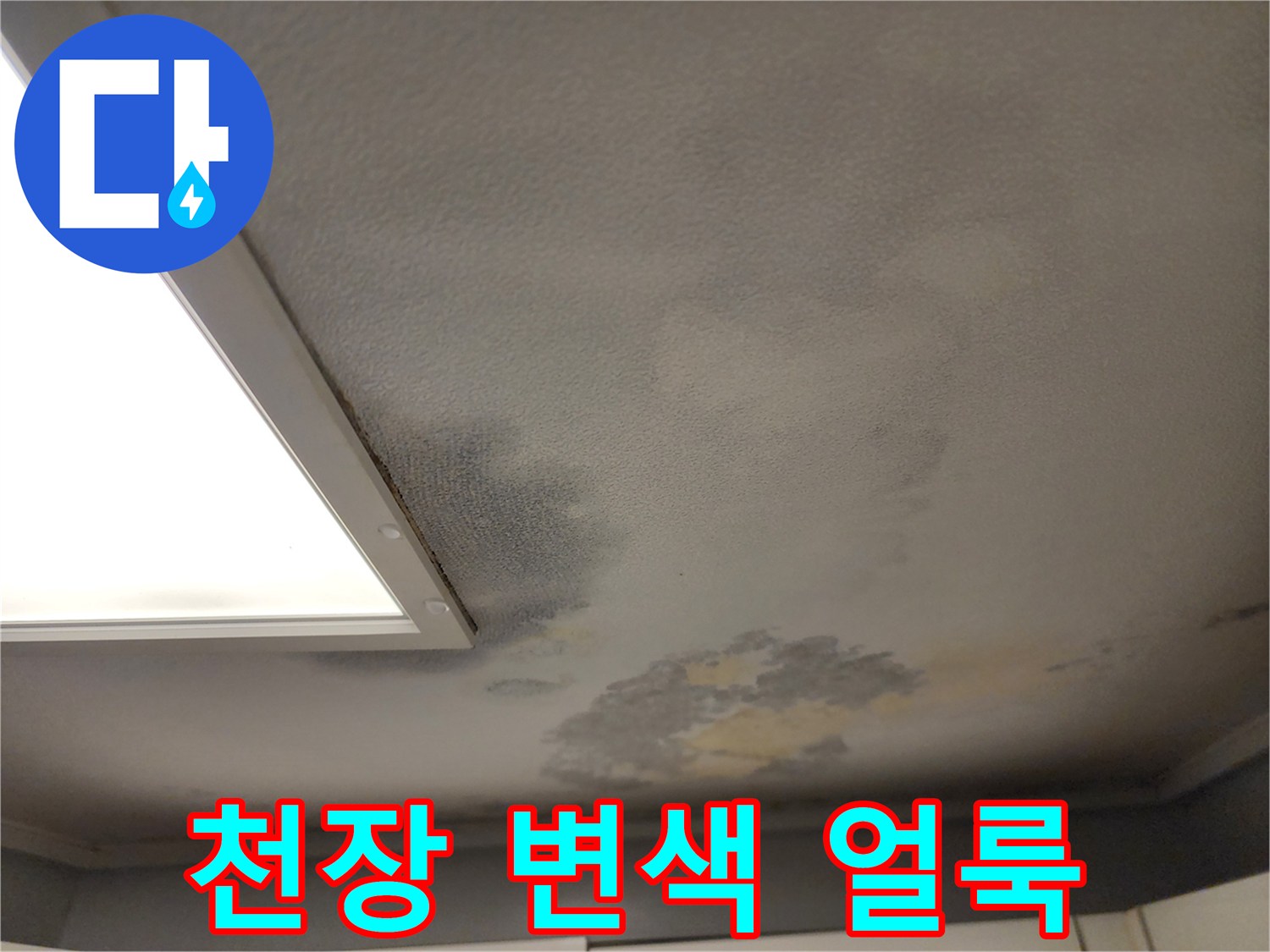 거실-천장-부위의-심한-변색-및-얼룩-상태