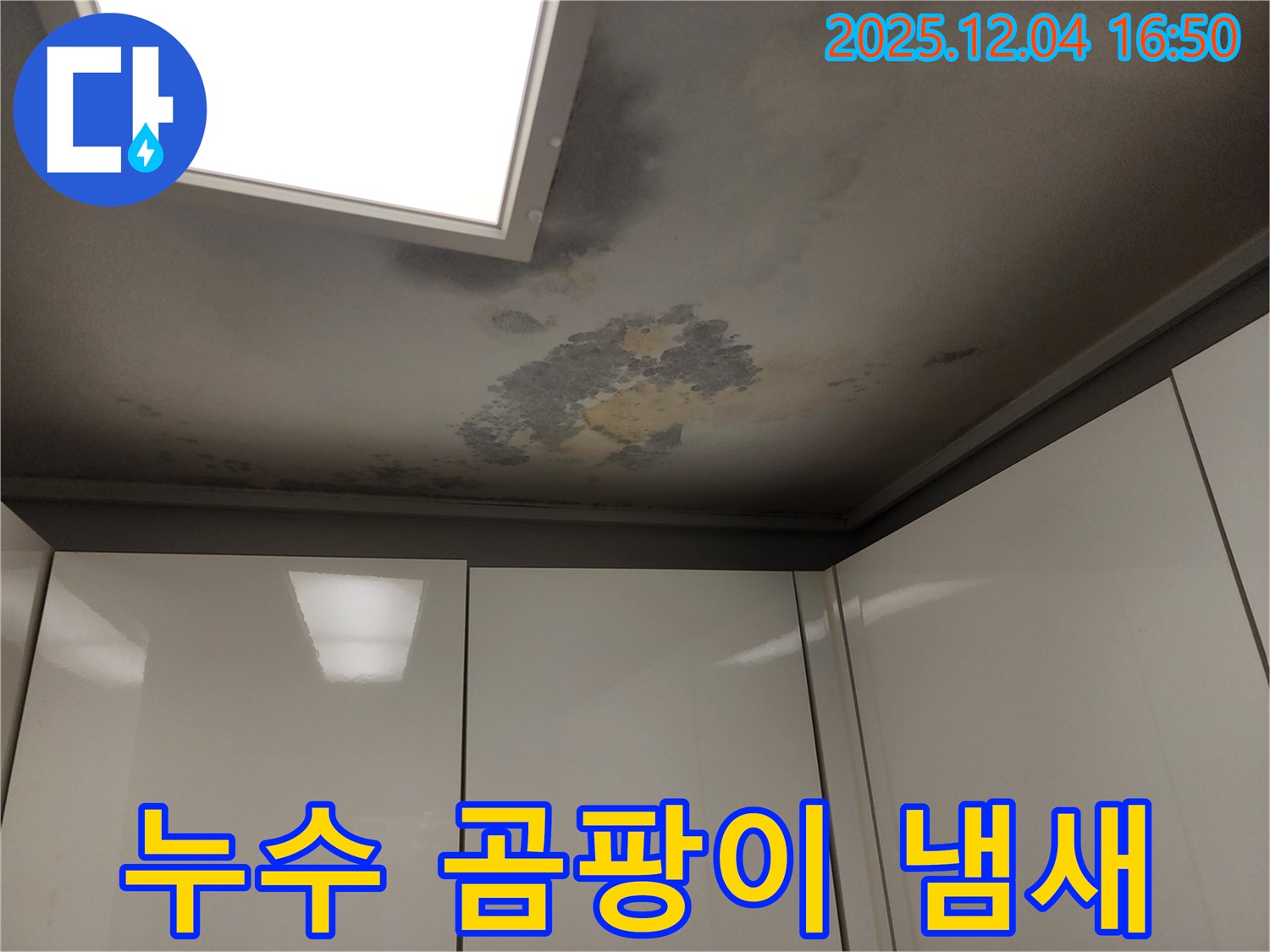 천장 누수 - 곰팡이 냄새 - 찝찝한 곰팡이 냄새 해결