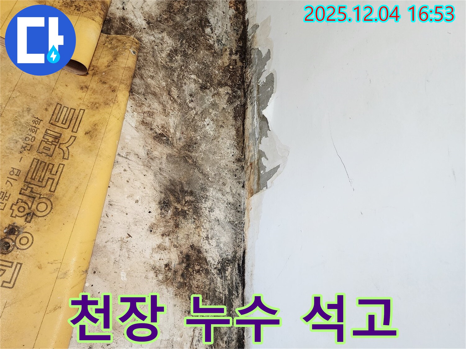 천장 누수로 인한 석고보드 손상 - 누수 해결 및 석고보드 복원 시공