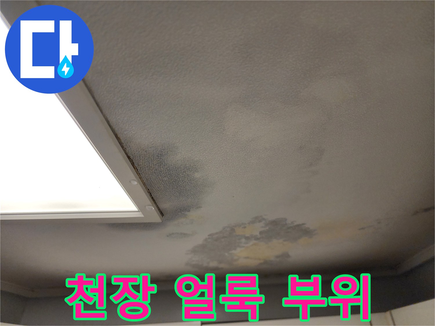 천장-벽지의-누수-변색-영역