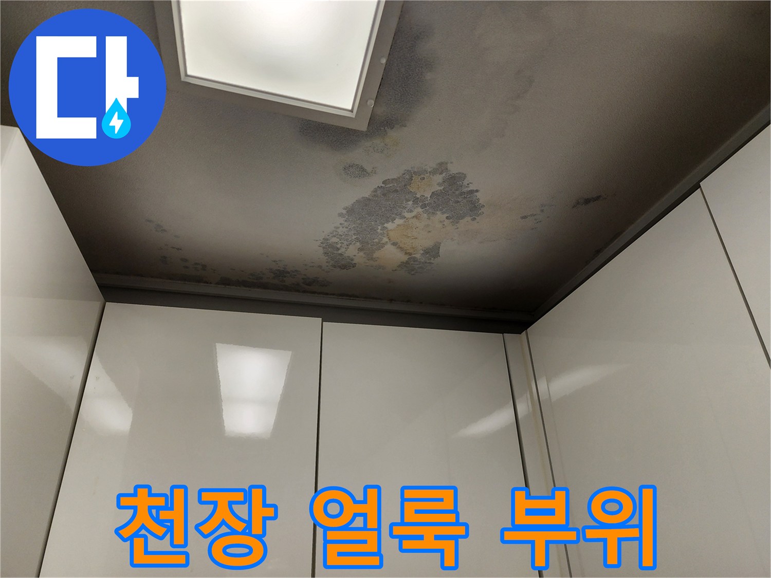 천장-표면에-나타난-심한-변색-얼룩
