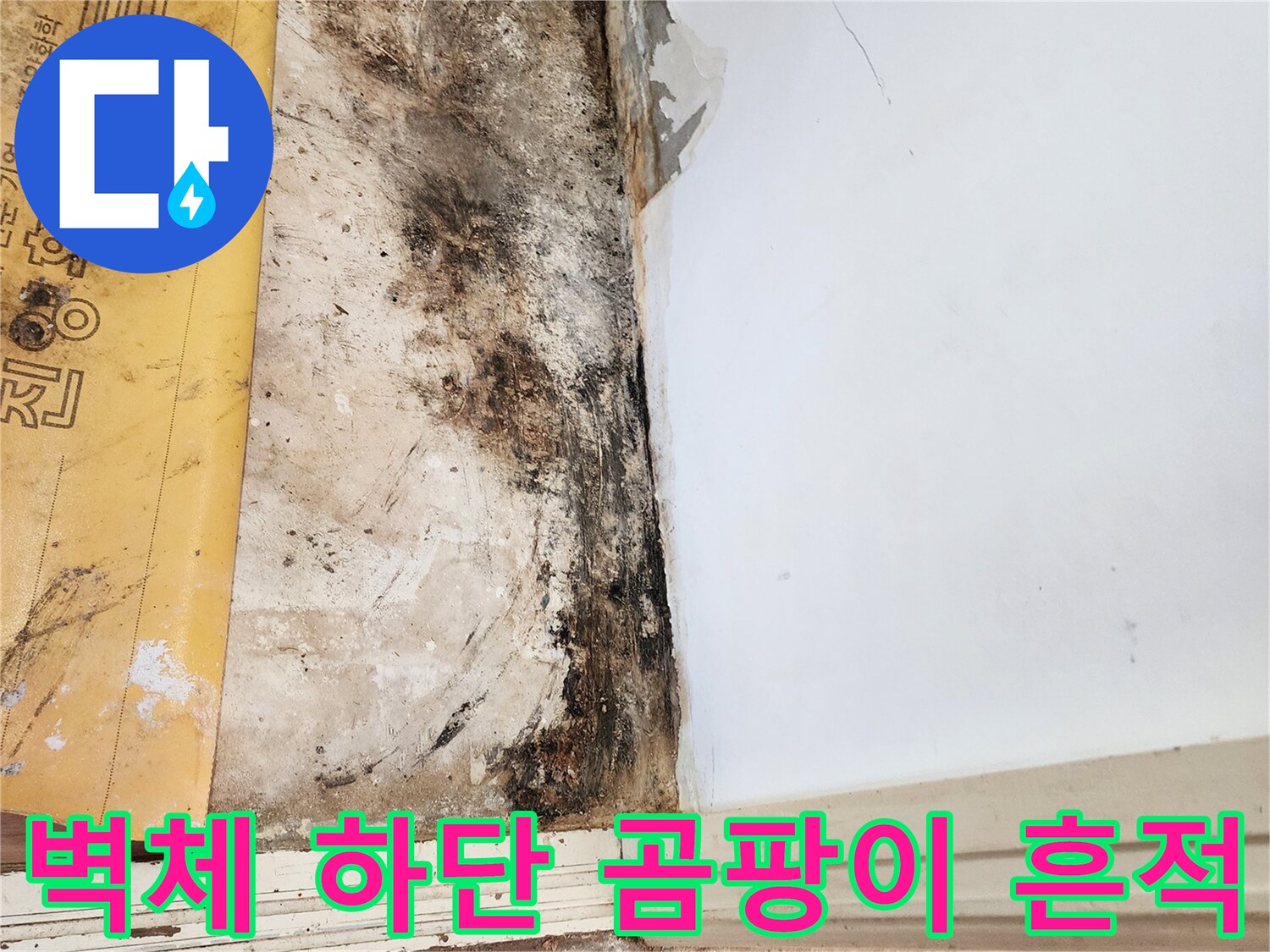 포천 일동면 현장-벽면 아래쪽의 검게 변한 곰팡이와 습기 유입 부위