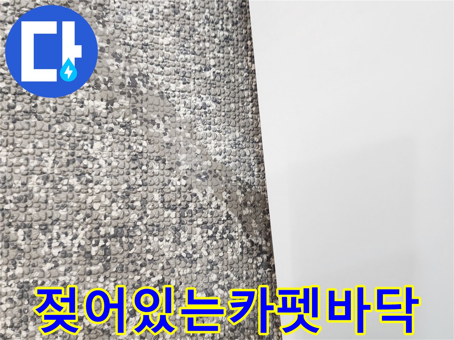 화장실-문턱-옆-카펫-습기-침투-상태