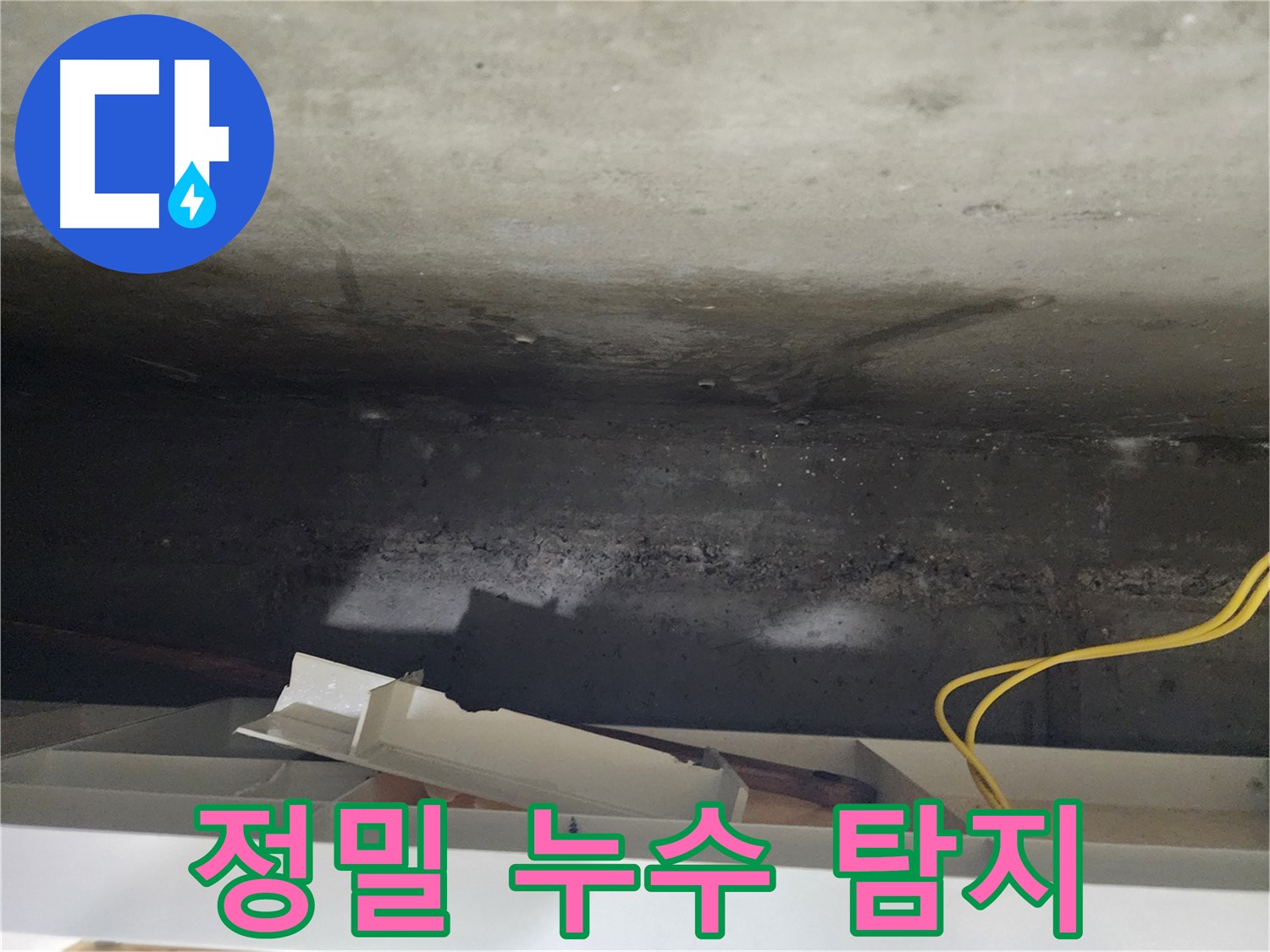 정밀 누수 탐지 - 첨단 장비 사용