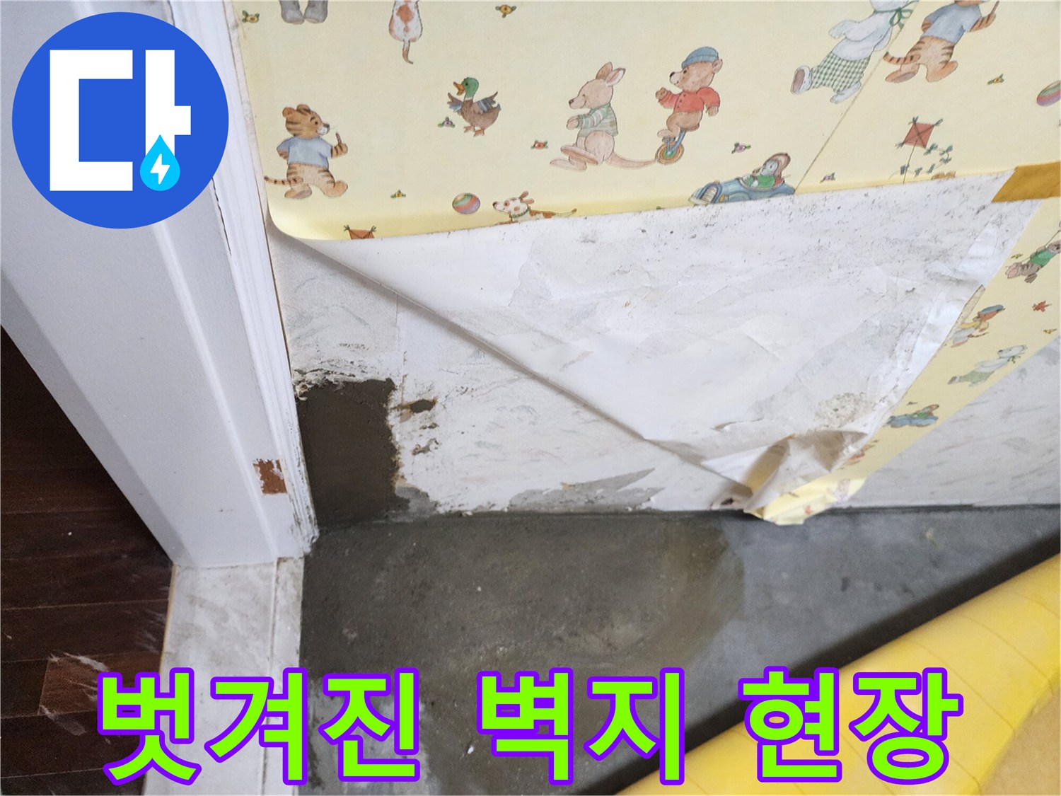 벽지가 벗겨지고 바닥이 젖은 누수 의심 부위