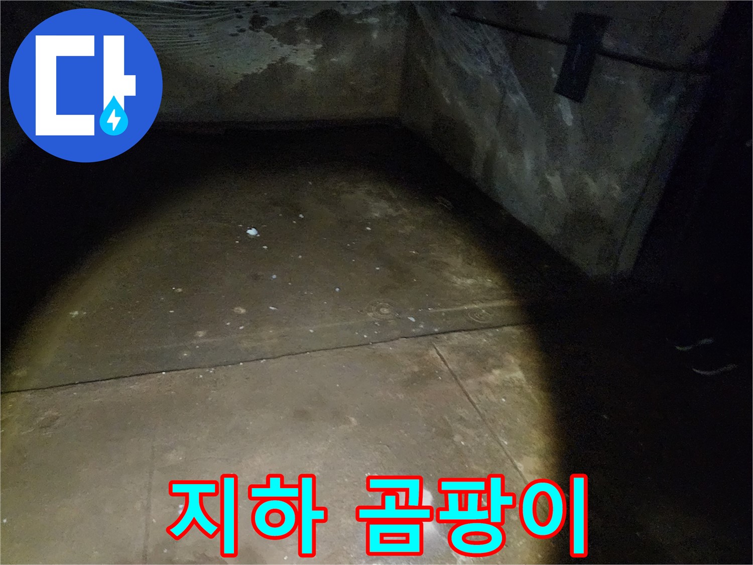 월계동 삼호아파트 37동 지하 - 완벽한 방수 공사로 안심하고 사용할 수 있는 지하 공간을 만들어 드립니다.