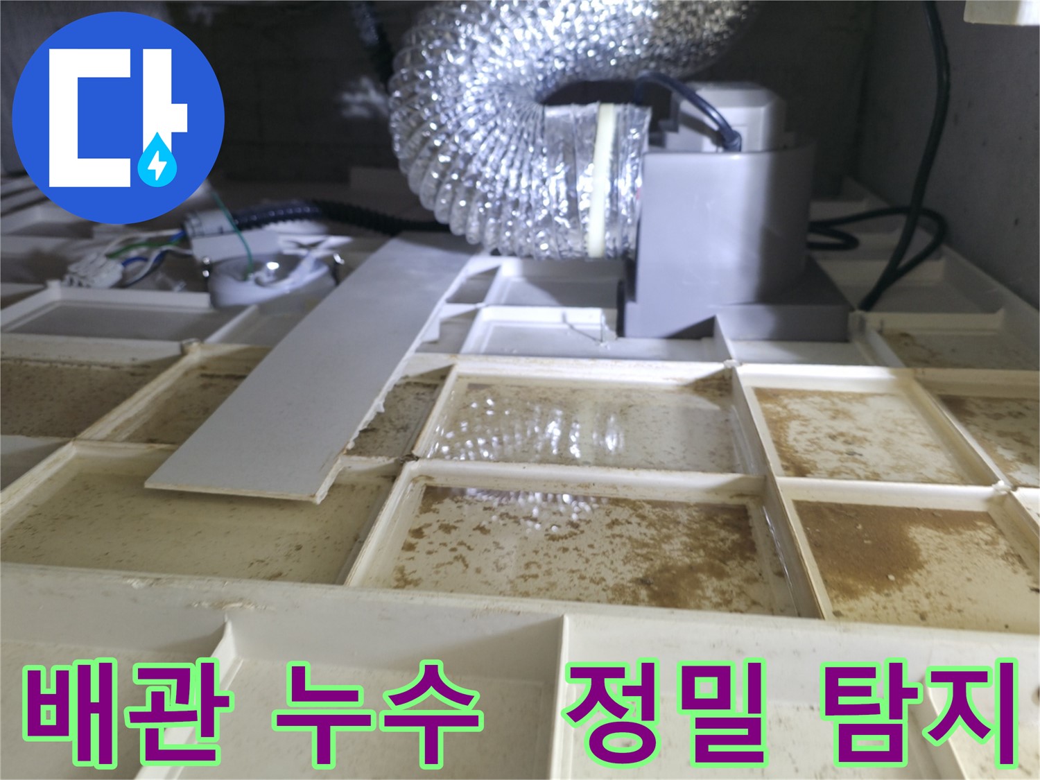 천장 속 배관 누수 의심 - 정밀 누수 탐지 진행