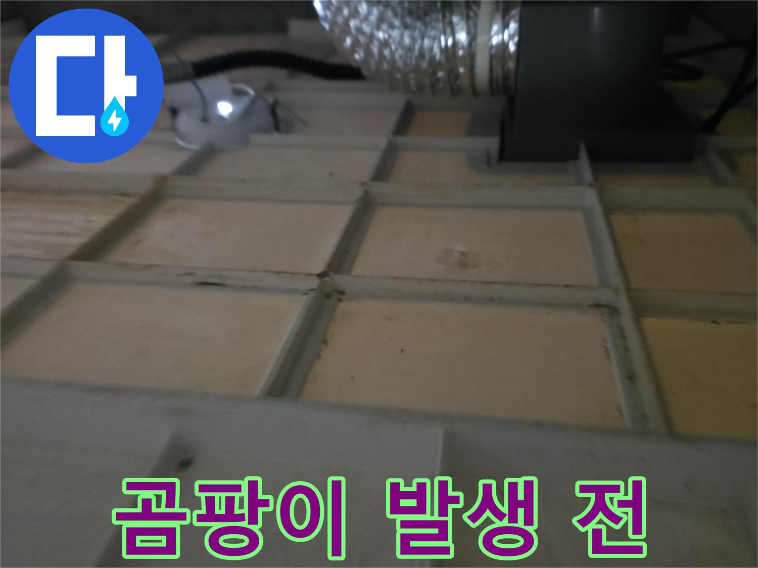 향남 에일린의뜰 천장 - 곰팡이 발생 전 누수 조치가 중요합니다.