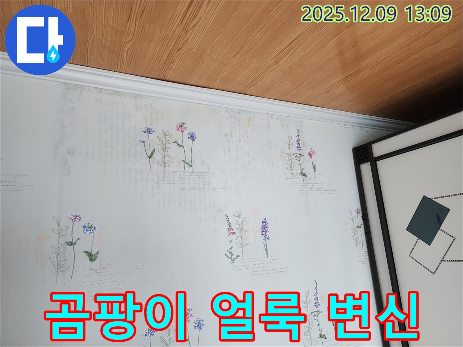 곰팡이와 얼룩으로 오염된 벽지 - 완벽하게 복원하여 새집처럼 변신시켜 드립니다.