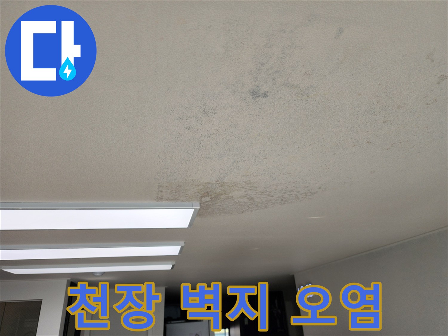 물샘으로 인해 얼룩지고 변색된 천장 표면