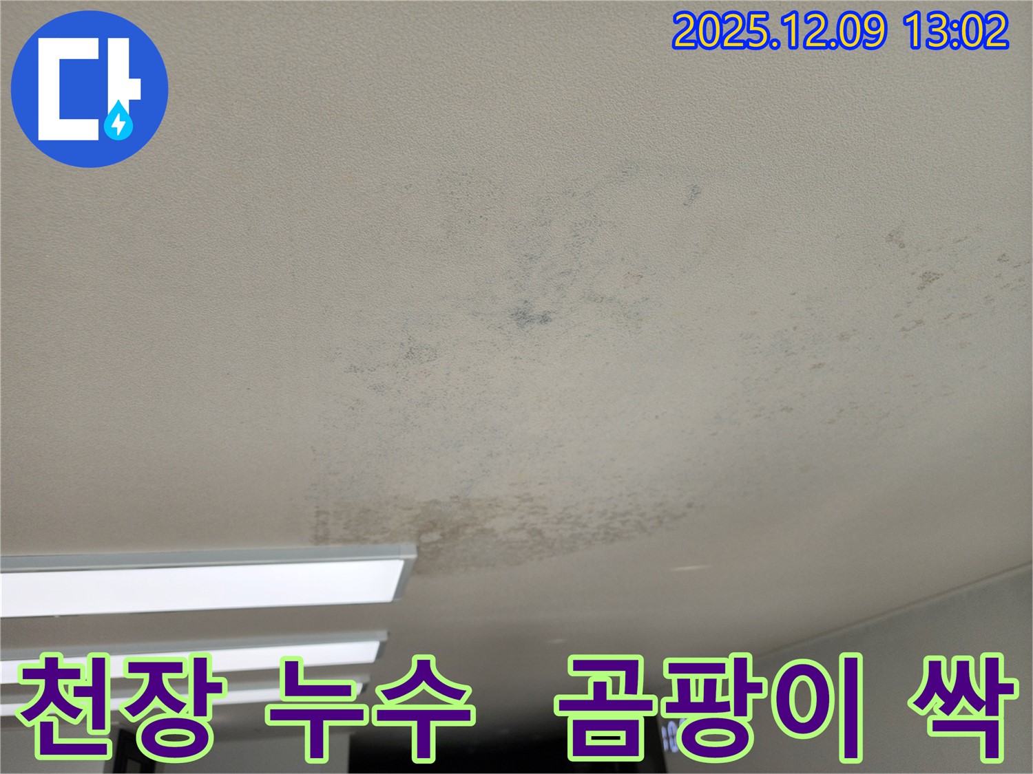 영중면 성동리 천장 누수 - 곰팡이 싹! 누수 확실히 잡고 깨끗하게 청소까지!