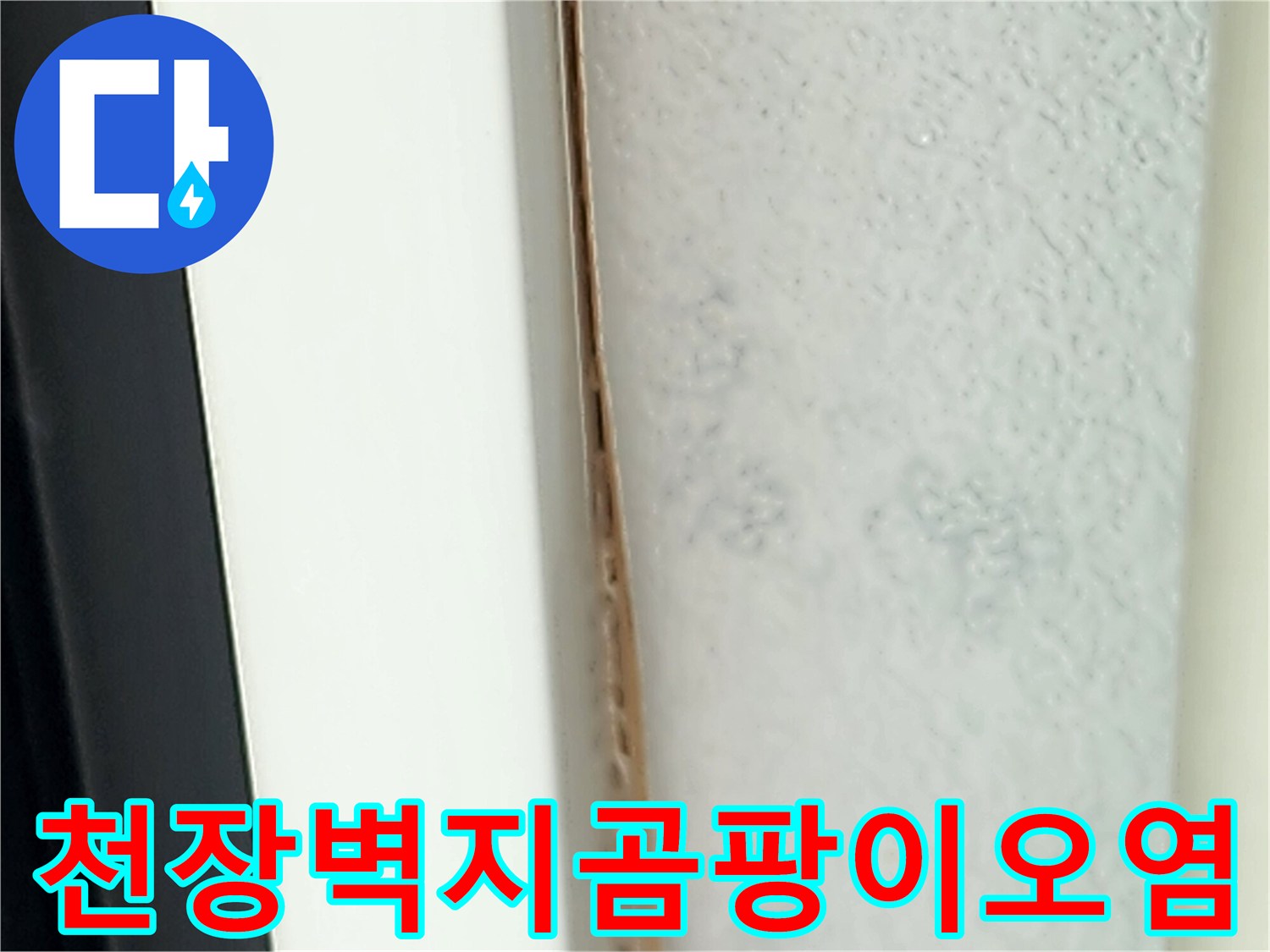 영중천-거실-부근-천장의-누수-및-곰팡이-흔적