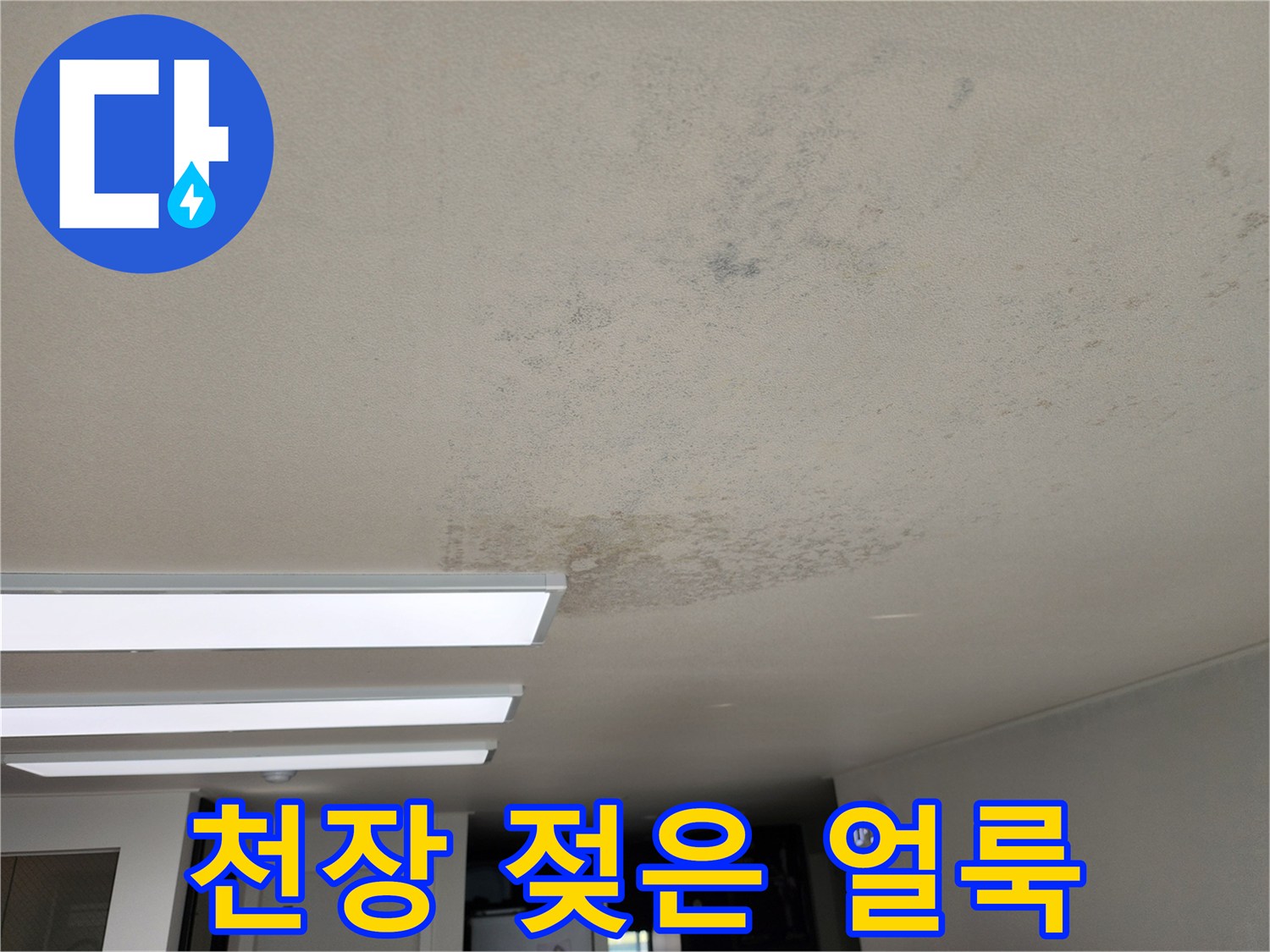천장-마감재의-광범위한-누수-자국