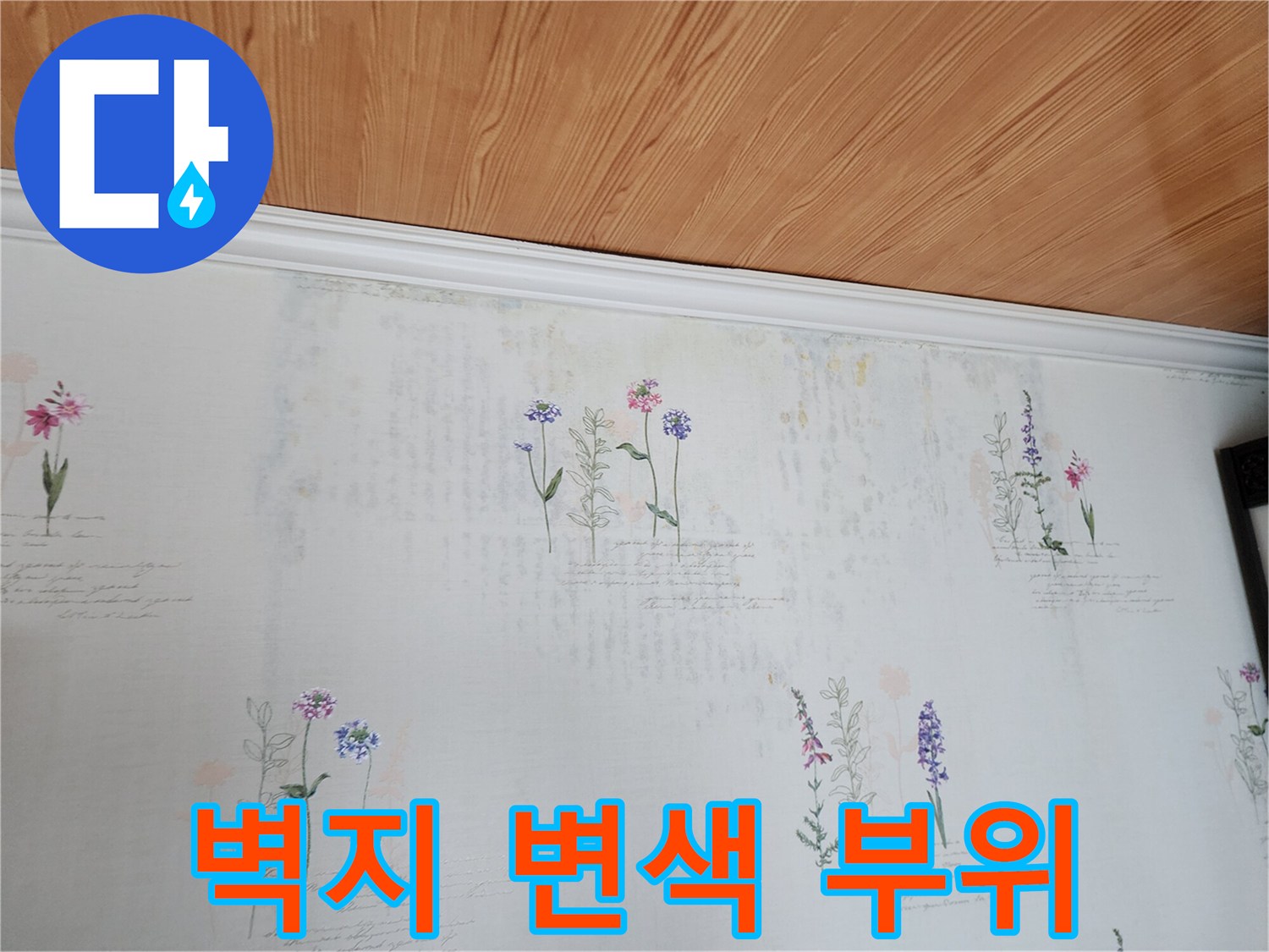 천장 몰딩 경계-물샘으로 인한 벽지 오염 상태