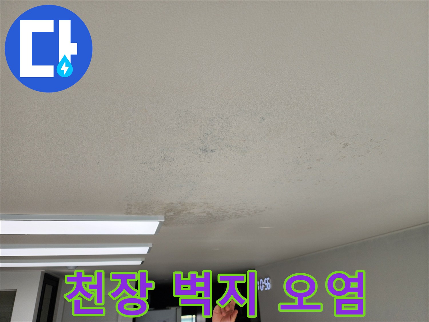 천장 벽지를 따라 퍼져 있는 곰팡이와 습기 흔적