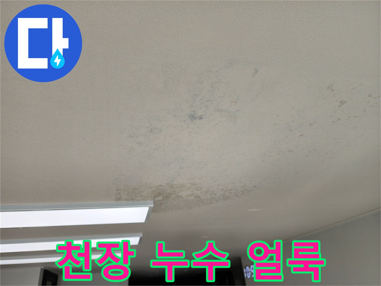 천장 벽지에 나타난 곰팡이와 누수 침투 흔적