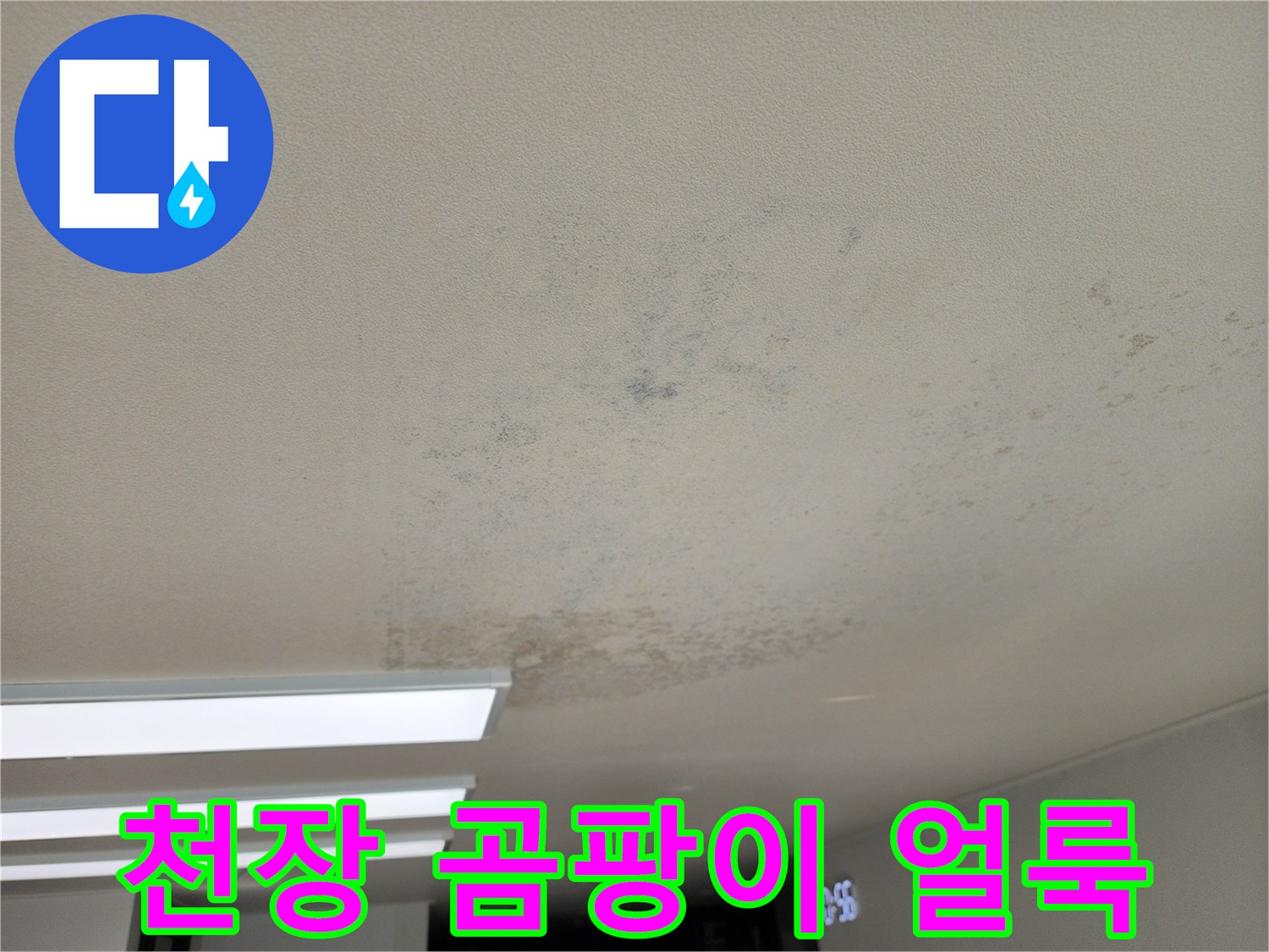 포천 성동리 거실 - 누수로 인해 젖고 곰팡이가 생긴 천장