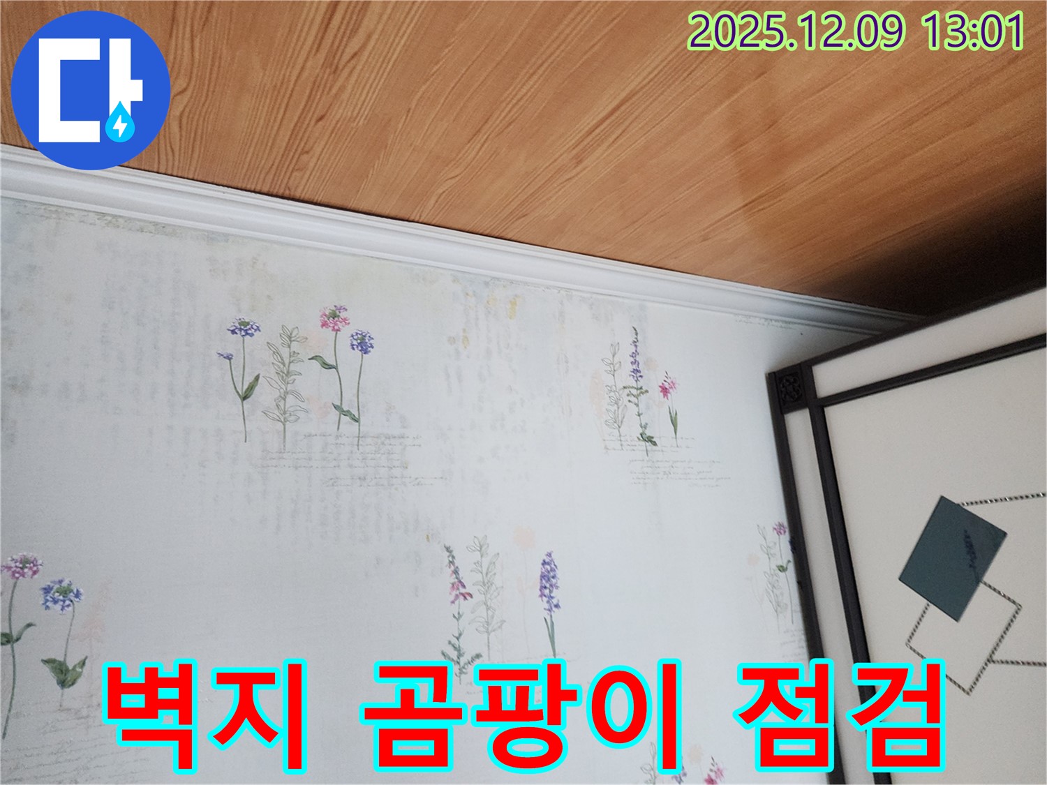 포천 영중면 누수 현장 - 벽지 곰팡이 초기 발견 및 긴급 점검