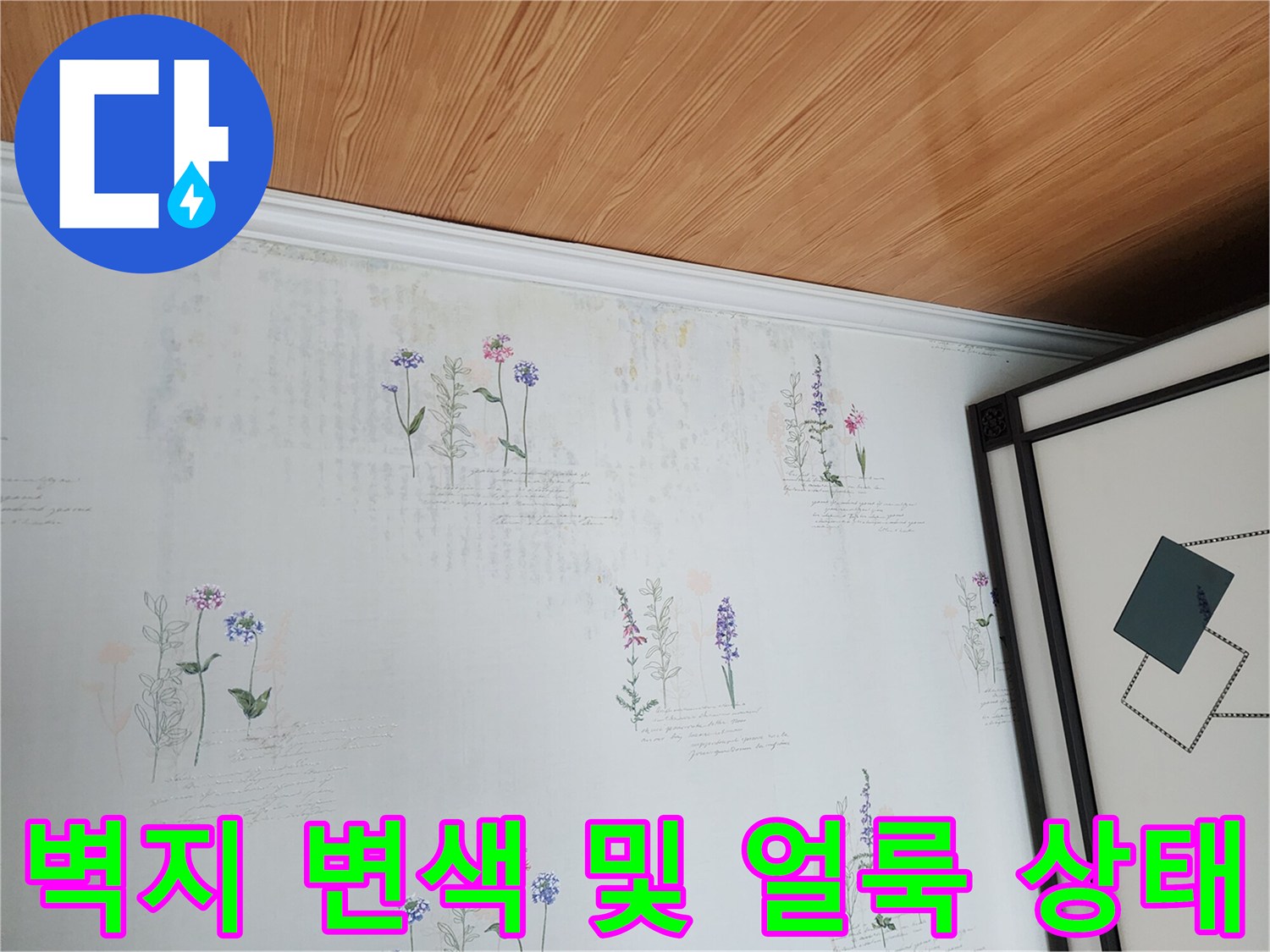 포천 영중면 현장의 꽃무늬 벽지 상단 얼룩 및 변색 상태