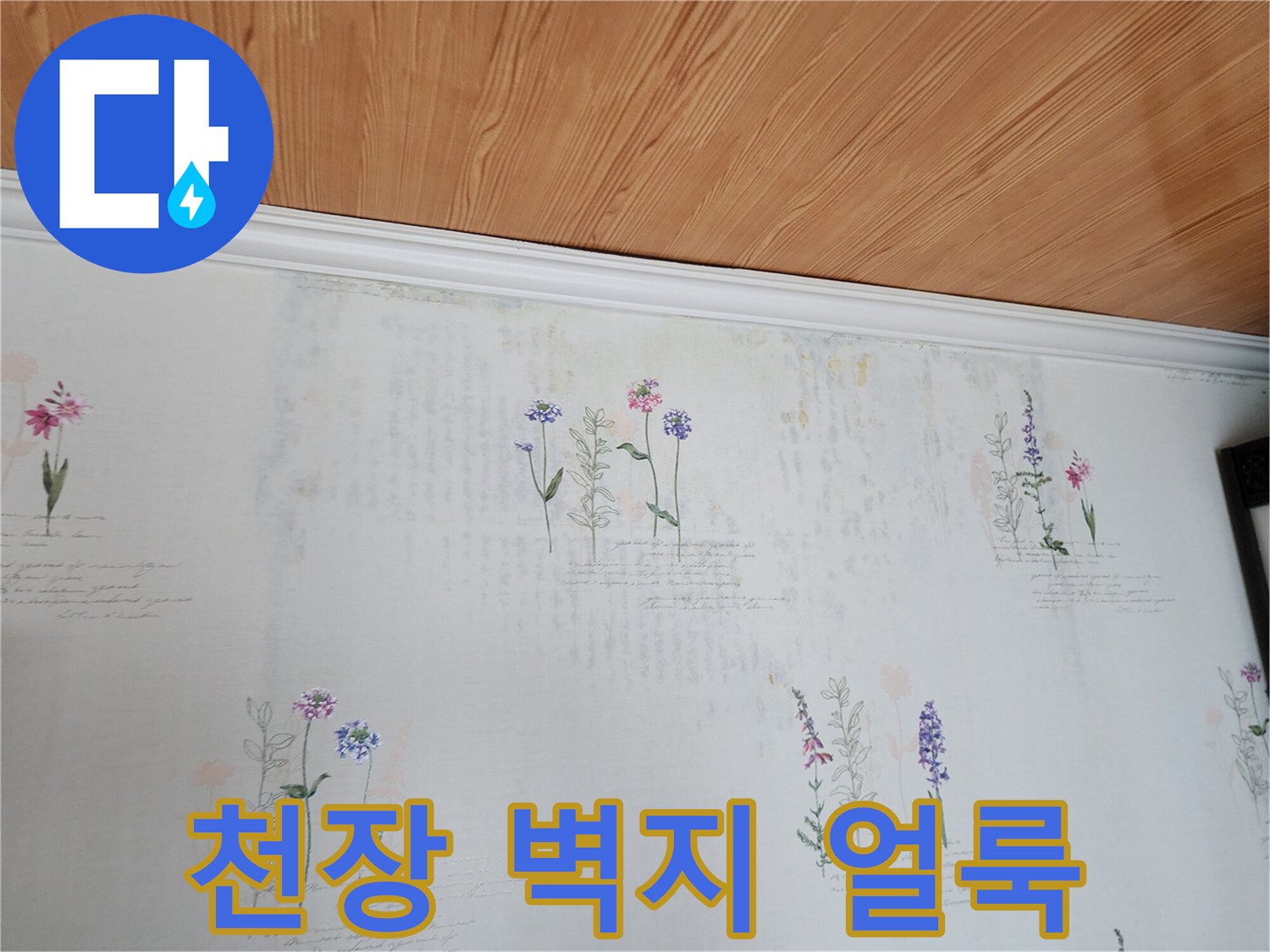 포천 영중면 현장의 천장 벽지 변색 및 얼룩 상태