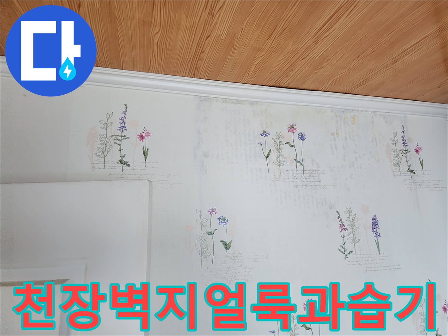 포천영중면-천장벽지-변색및-물자국-현장상태