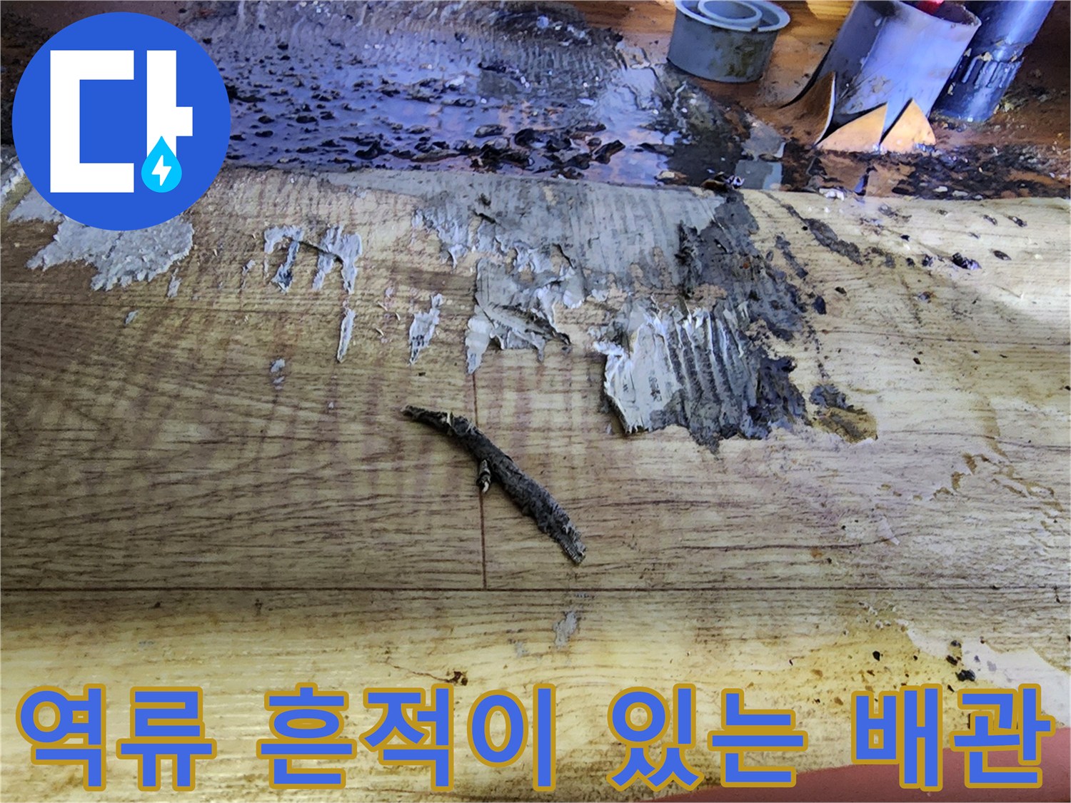 싱크대 하단 배관 주변의 검은색 슬러지 및 오염 상태