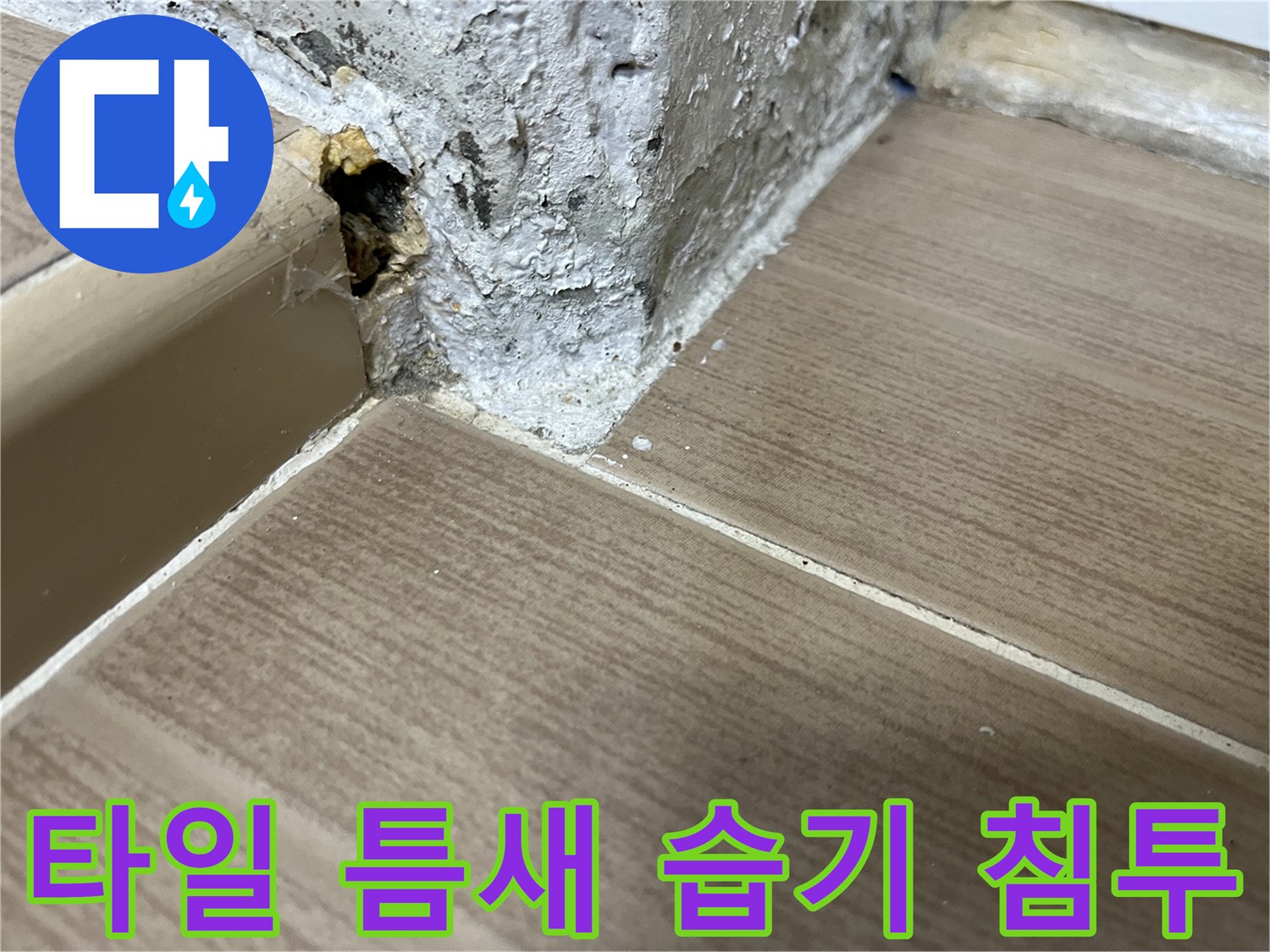 습기가-스며든-타일-경계-부위