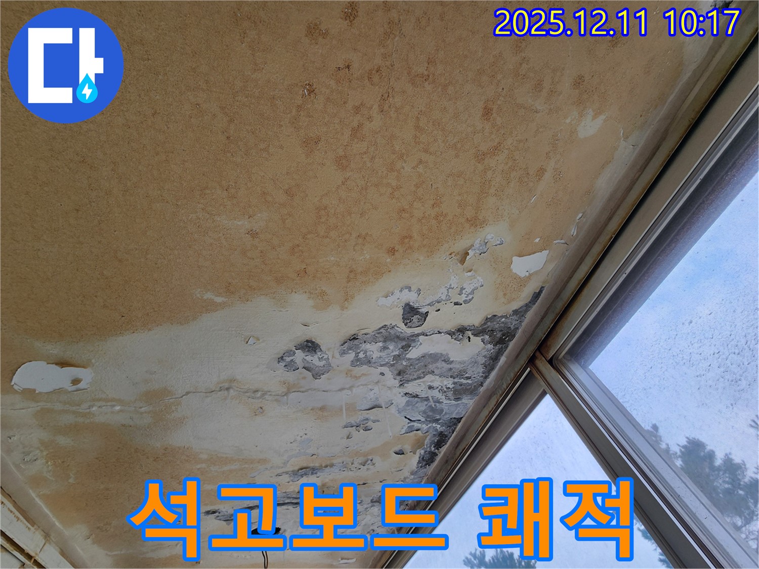 곰팡이 천장 - 쾌적한 환경, 석고보드 교체
