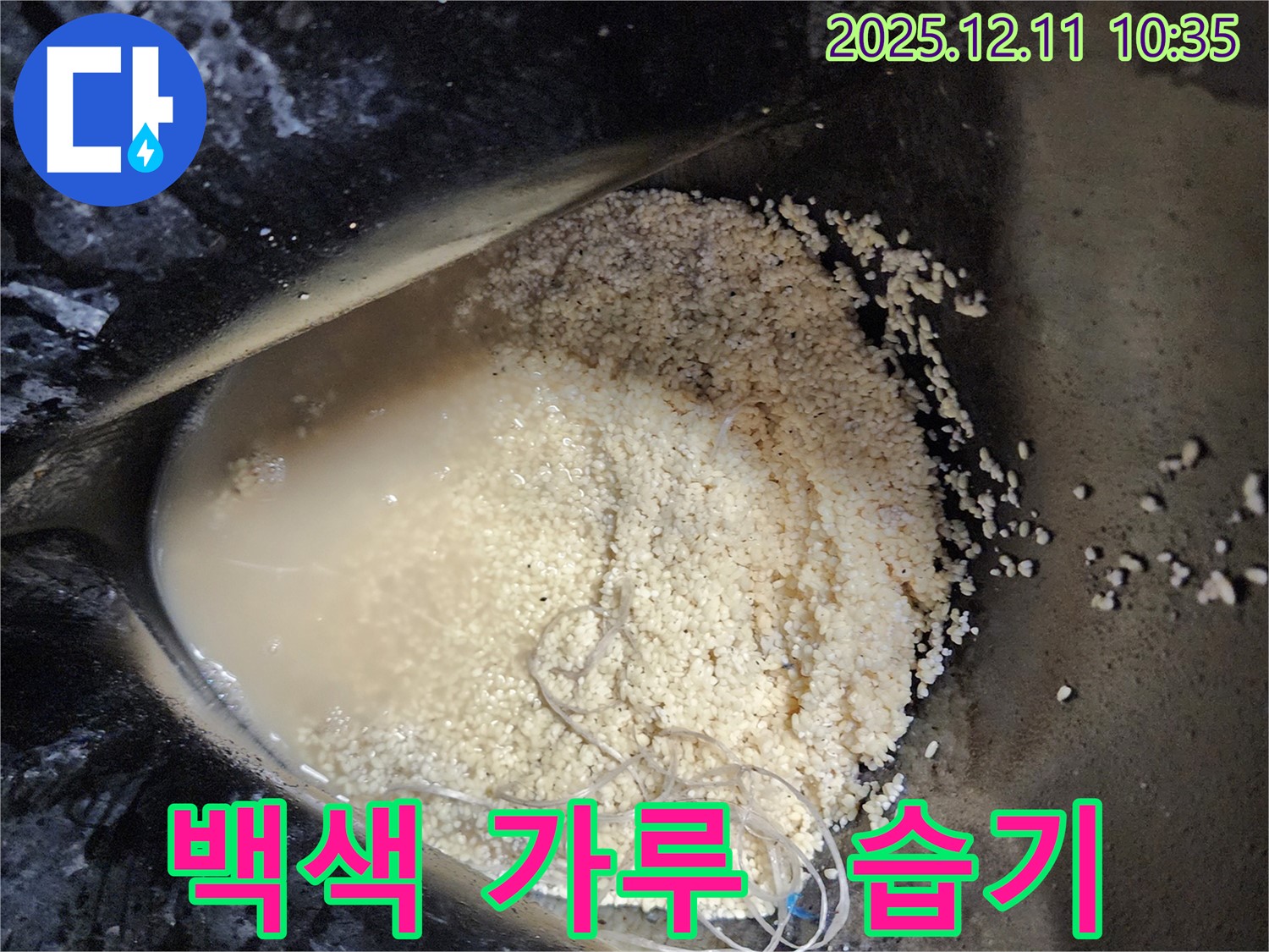 남궁리 누수 현장 - 백색 가루 주변에서 발견된 습기가 누수 증거임을 보여줍니다.