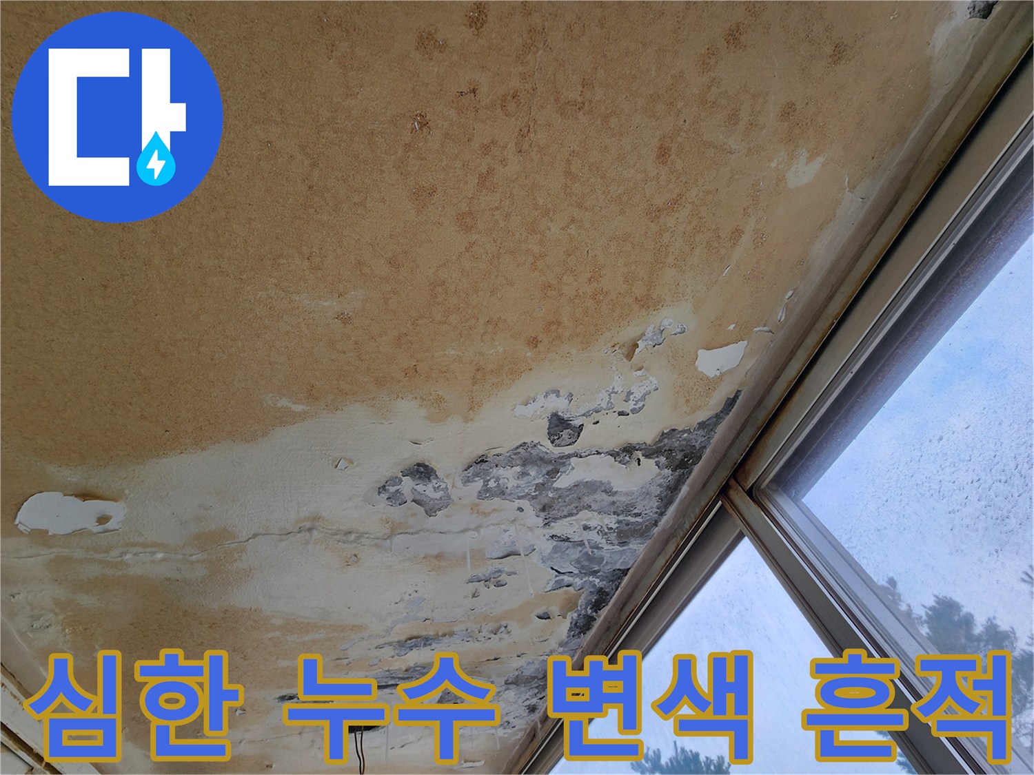 누수로 인해 황색으로 오염되고 곰팡이가 생긴 천장 사진