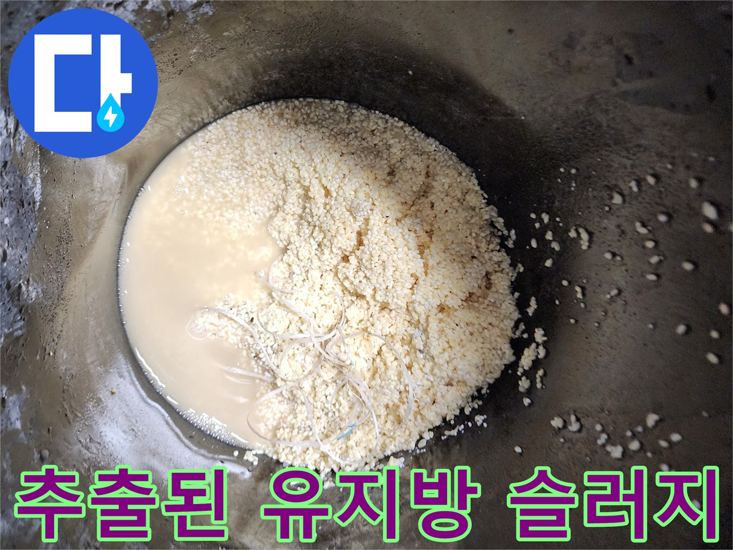 배수관 청소 결과-나온 기름 찌꺼기와 오염된 물