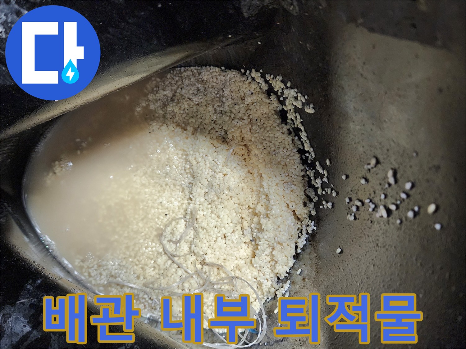 배수관에서 수거된 탁한 색상의 오염물질 덩어리