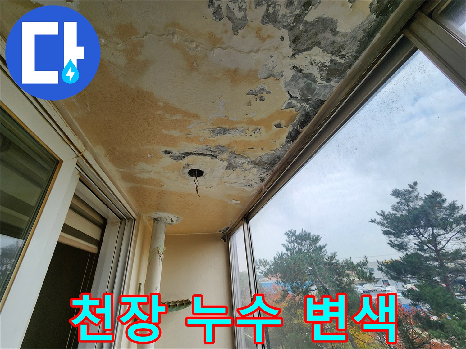 심각한 누수 흔적이 보이는 베란다 천장의 곰팡이 상태