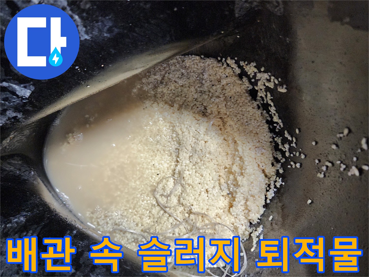 싱크대 배수관 내부에서 추출된 기름 덩어리와 탁한 오수 상태