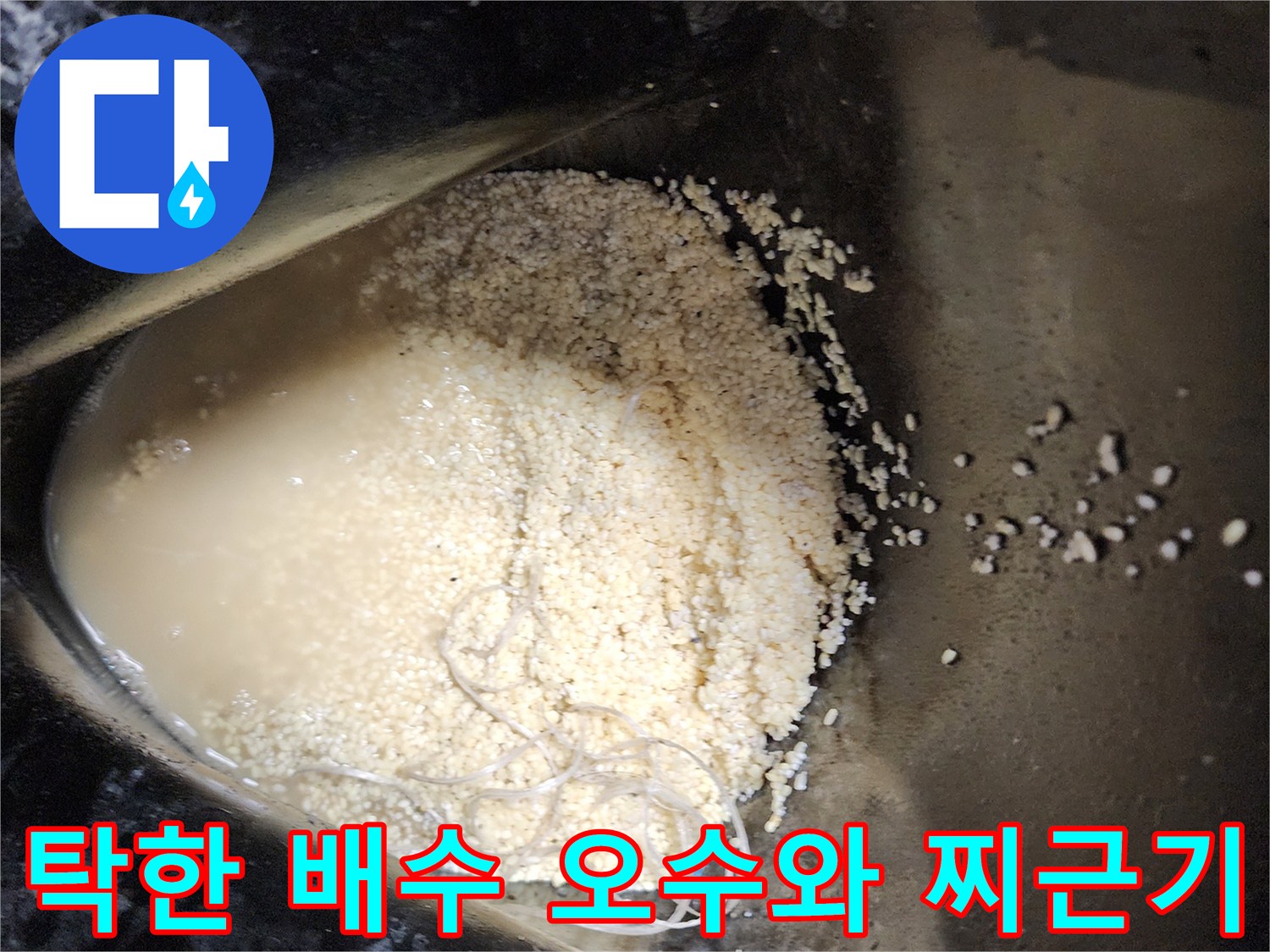 싱크대-하부-배관에서-뽑아낸-오염된-물과-슬러지