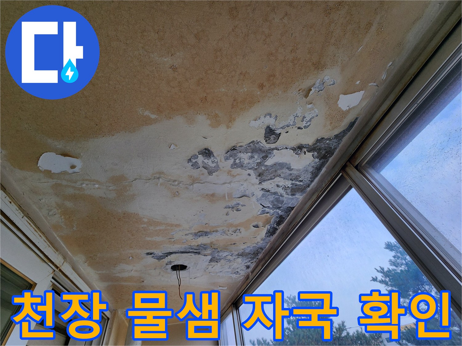 영중면 현장의 누수된 천장 - 페인트 박리와 변색 부위