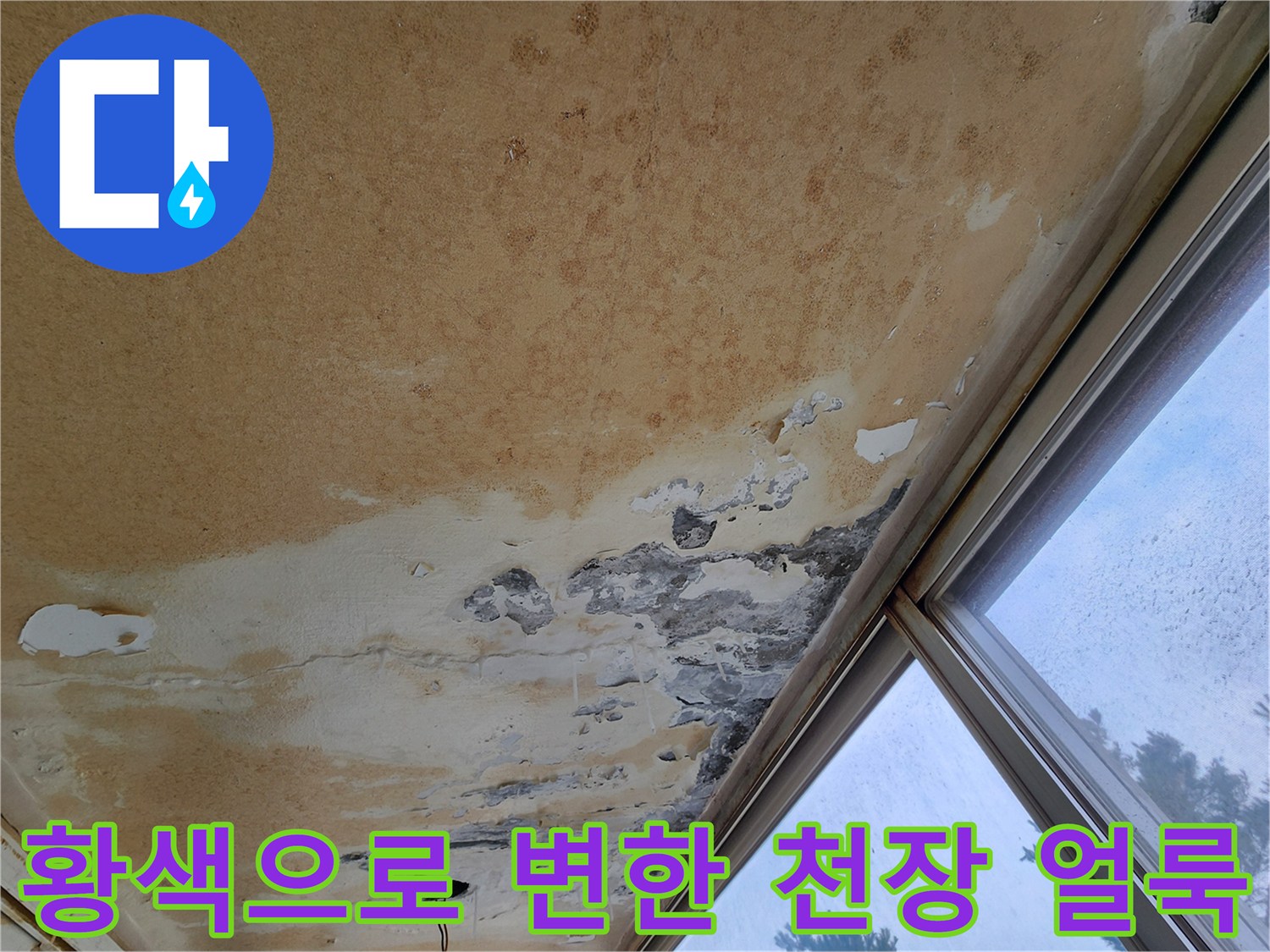 오염된-베란다 천장의 누수 흔적과 습기 침투 부위